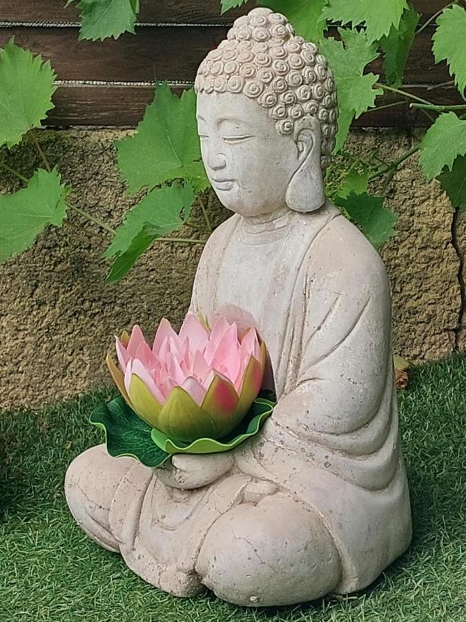 Villa Clea 생폴레뒤랑스 외부 사진